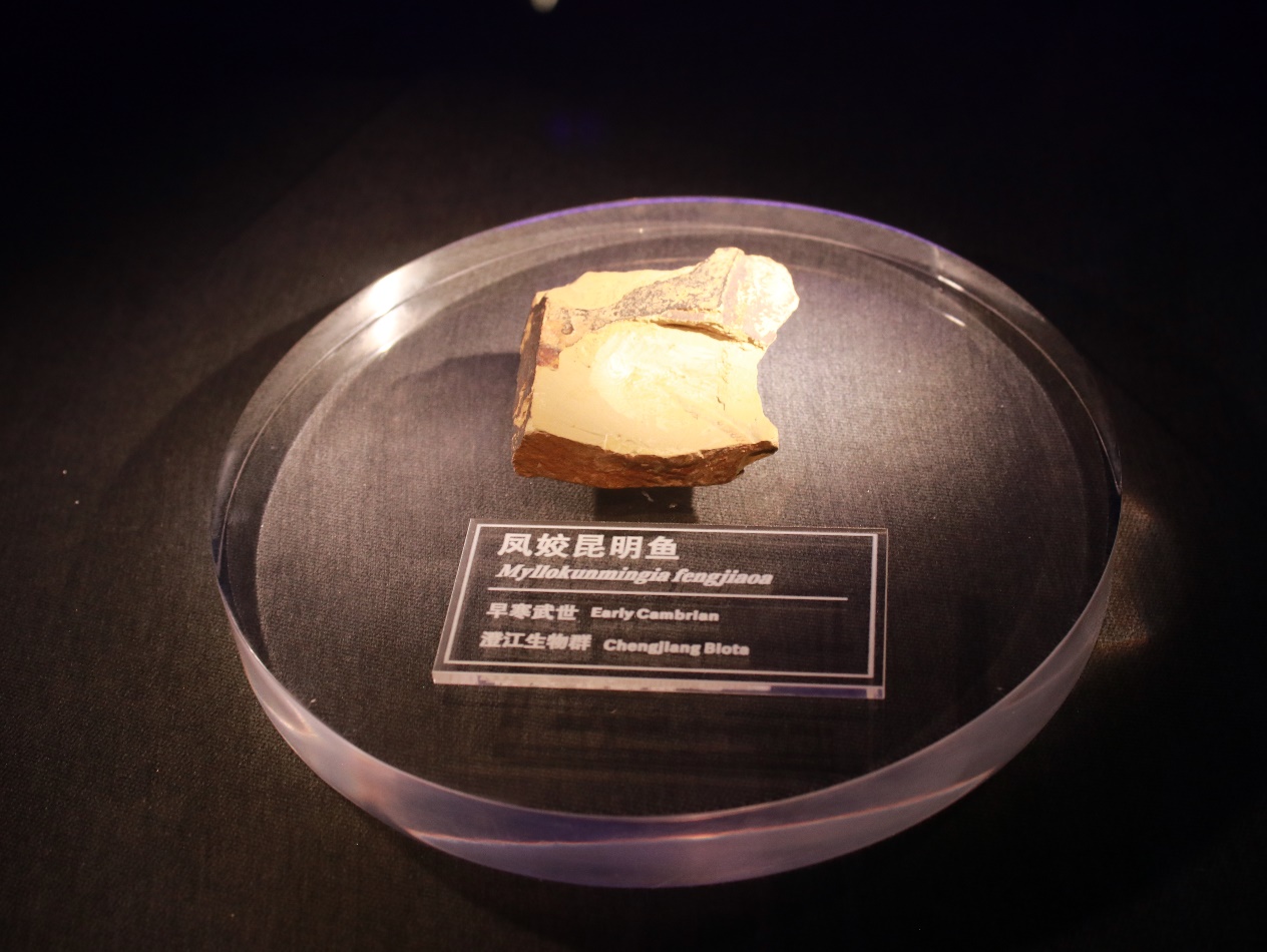 image7.jpeg