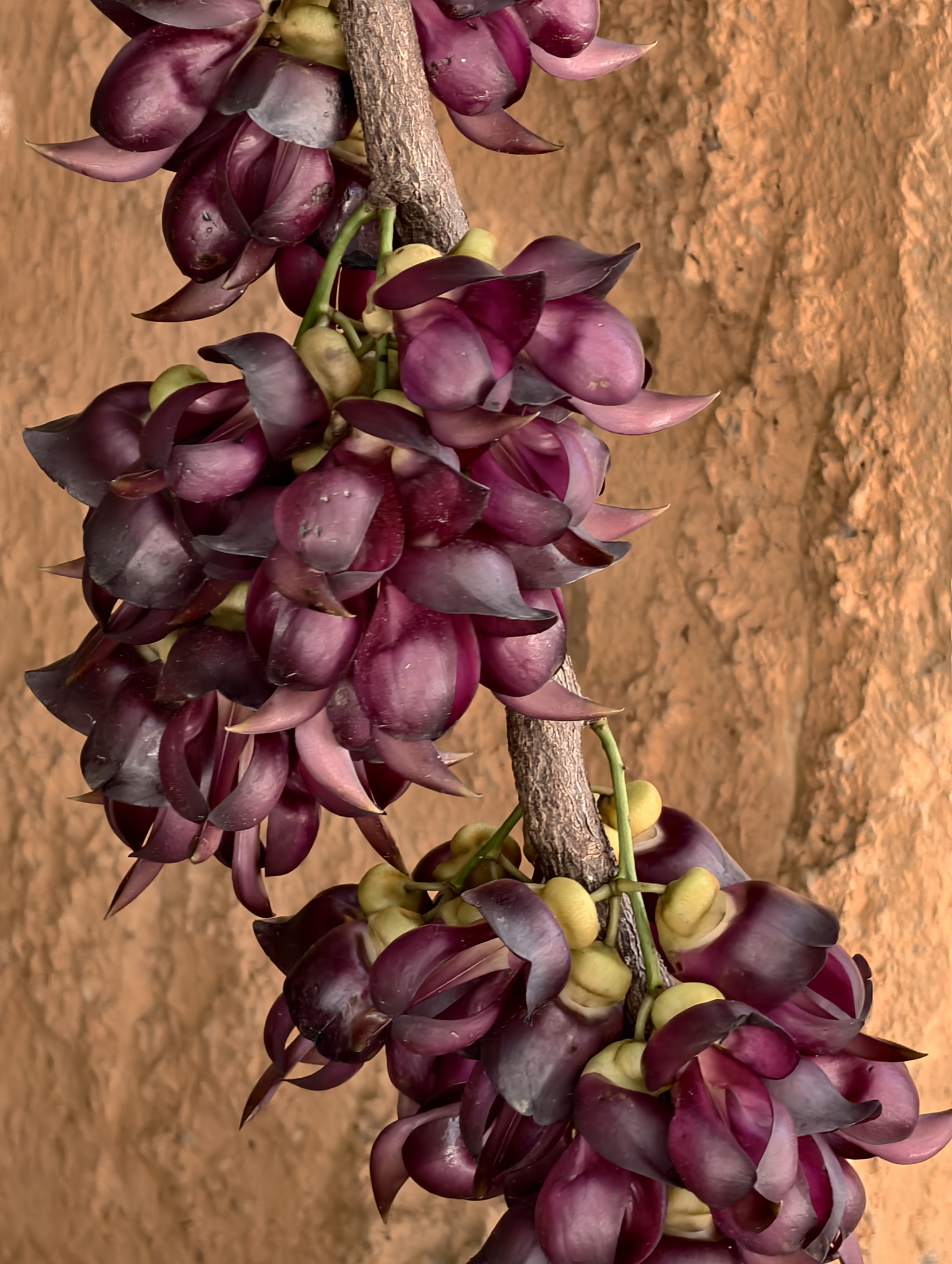 image3.jpeg